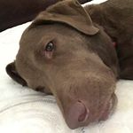 Scott Hurt - @scott_hurt - Instagram