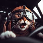 Scott B. Husted - @s.b.hylander - Instagram
