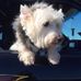Scott Husted - Facebook