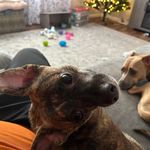 Scott Husted - @scottiehusted - Instagram