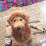 Scott Hwang - @scoot56er - Instagram