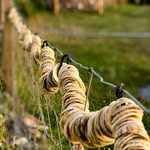 Garta Cottage - @gartacolonsay - Instagram