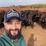 Mauricio Scoton Igarasi - @scotonpecuaria - Instagram