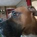 Scott Iliff - Facebook
