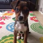 Scott Imlay - @scottimlay - Instagram