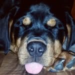 Scott Ingersoll - @scott.ingersoll - Instagram