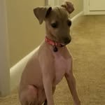 Scott Inslee - @insleescott - Instagram