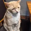 scotttinter - @scotttinter - TikTok