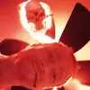 scottione1234 - @scottione1234 - TikTok