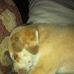 Scott Isaak - Facebook