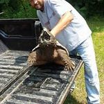 Scott Isbell - @isbell9031 - Instagram