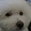 scottkissell4 - @scottkissell4 - TikTok