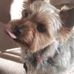 Scott Ives - Facebook