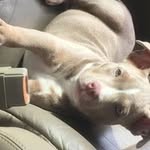 Scott Jackson - @scottjackson8233 - Instagram