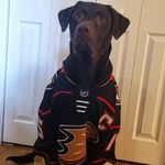 Scott Jackson - @scottjackson__ - Instagram