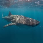 Scott Jagers - @jagersscott - Instagram