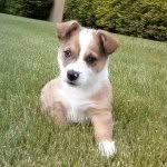 Scott - @scott_jantz - Instagram