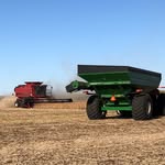 Scott Jean - @spooge70 - Instagram