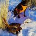 Scott Jens - Facebook