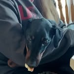 Scott Jensen - @scott.jensen.54584 - Instagram