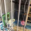 Scott Jergenson - @scottjergenson - TikTok