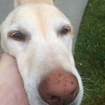 Scott Jessup - @scottjessup5327 - Instagram