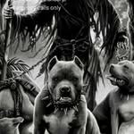 Scott Johansen - @scottjohansen8080 - Instagram