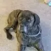 Scott Johnson - @scott.johnson12 - TikTok
