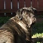 Betty-Ann Scott-Jolly - @bettyannscottjolly - Instagram