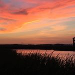 Scott Jolly - @scottjolly1 - Instagram