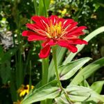Scott jolly - @holej95978 - Instagram