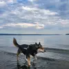 Juniper - @c.juniper.scott - TikTok