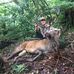 Scott Jury - Facebook