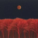 Scott  Kahn - @scott_kahn - Instagram