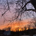 Scott Kahn - @scott.kahn.505 - Instagram