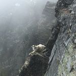 Scott Kalbach - @scott_kalbach - Instagram
