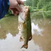scottkaltenbach - @fishingwithscott - TikTok