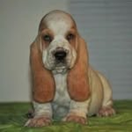 Scott Kammeyer - @scottkammeyer - Instagram