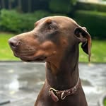 Kamp - @scott_kamp_ - Instagram