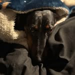 Scott Kamphuis - @scottkamphuis - Instagram