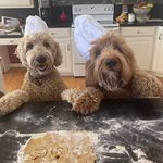 Scott Kamrath - @scottkamrath - Instagram
