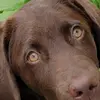 Scott Kuppel - @scott.kuppel - TikTok
