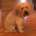Scott Karas - @skaras001 - Instagram