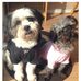 Scott Keefe - Facebook