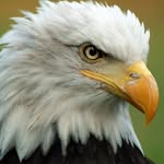 @scottkellman - Instagram
