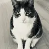 Scott jr Kennard - @scott.jr.kennard - TikTok
