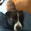 scott_eckhoff - @scott_eckhoff - TikTok