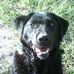 Scott Ketterer - Facebook