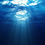 Scott Keys - @mfleck1970 - Instagram