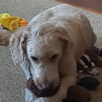 Scott Kieffer - @scott.kieffer.7 - Instagram